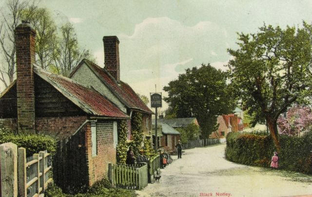 The Vine, Black Notley - in 1906