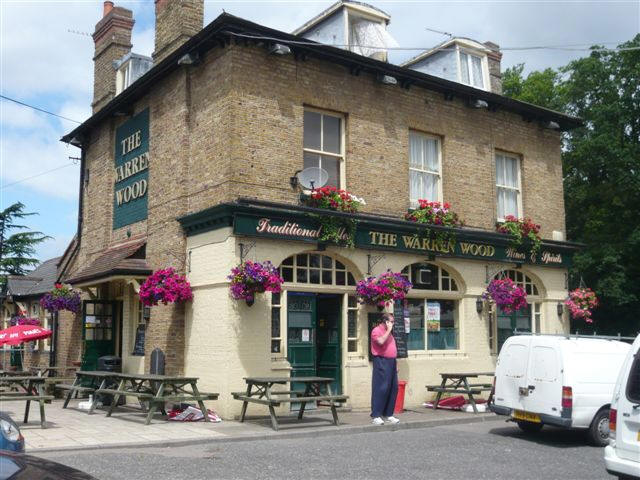 Warren Wood, Epping New Road, Buckhurst Hill, Essex - in July 2008