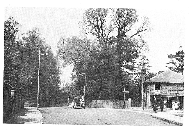 Red Cow, Broomfield Road and King Street, Chelmsford - circa 1900