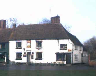 Fox, Finchingfield