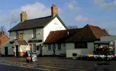 Eagle, Galleywood Common