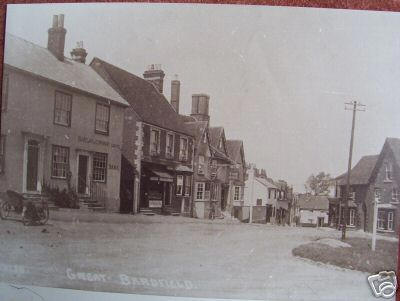 Vine, Great Bardfield