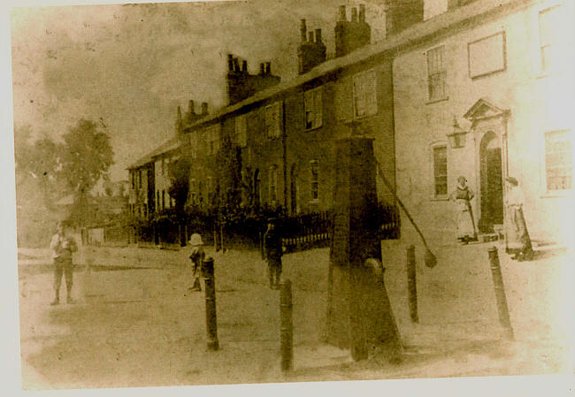 Yorkshire Grey, Coggeshall - circa 1912