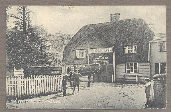 Yew Tree, Great Horkesley