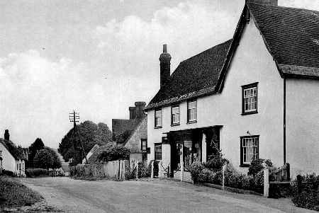 Cock, Great Sampford