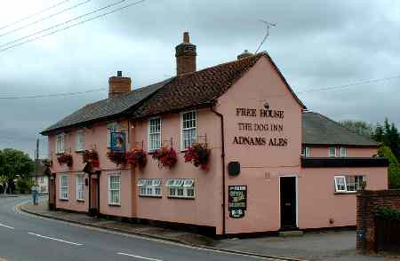 Dog, Hedingham Lane & North Street, Halstead