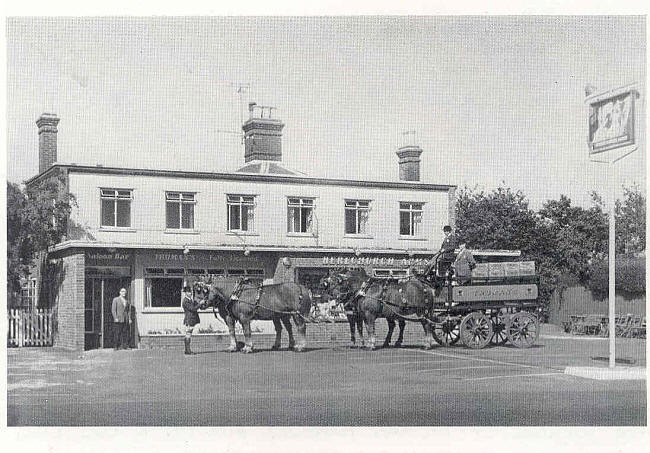 Berechurch Arms, Shrub End, Lexden - in 1960