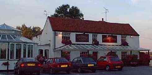 Cherry Tree, Little Stambridge