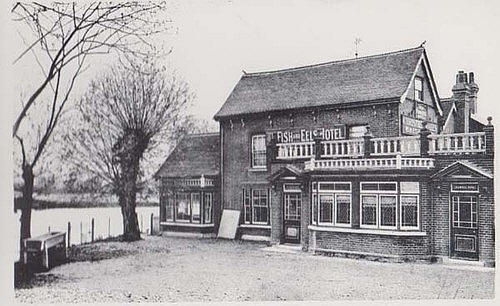 Fish & Eels, Hoddesdon