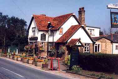 Green Man, Roydon Hamlet 1999