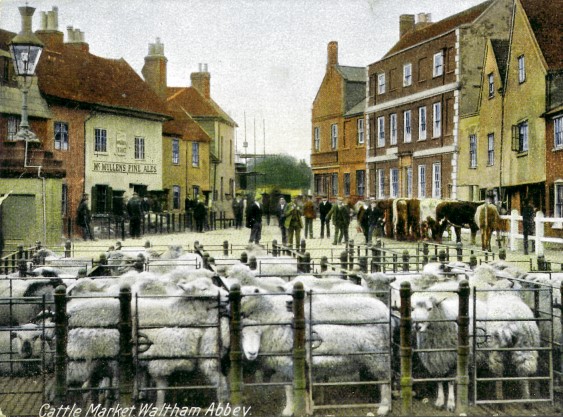 Crown, Romeland, Waltham Abbey circa 1910