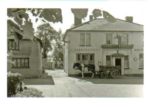 Maltsters Arms, Willingale