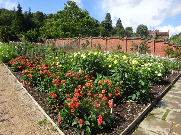 Chartwell House WalledFlower Gardens in August 2021 