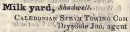 Milk yard, Shadwell 1842 Robsons street directory